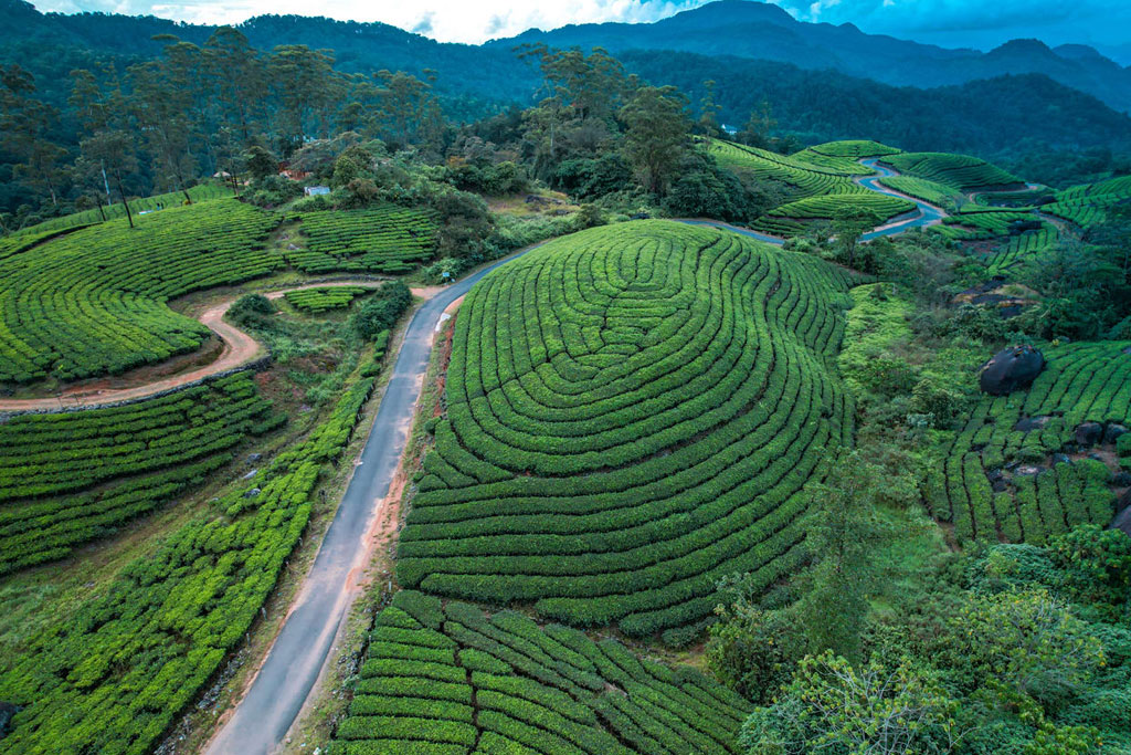 Kerala Tour